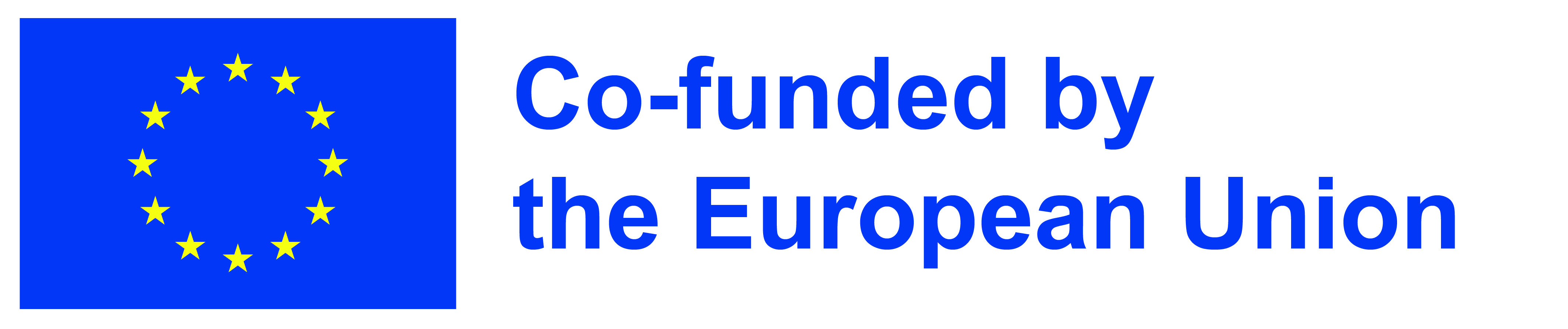 European Union Emblem